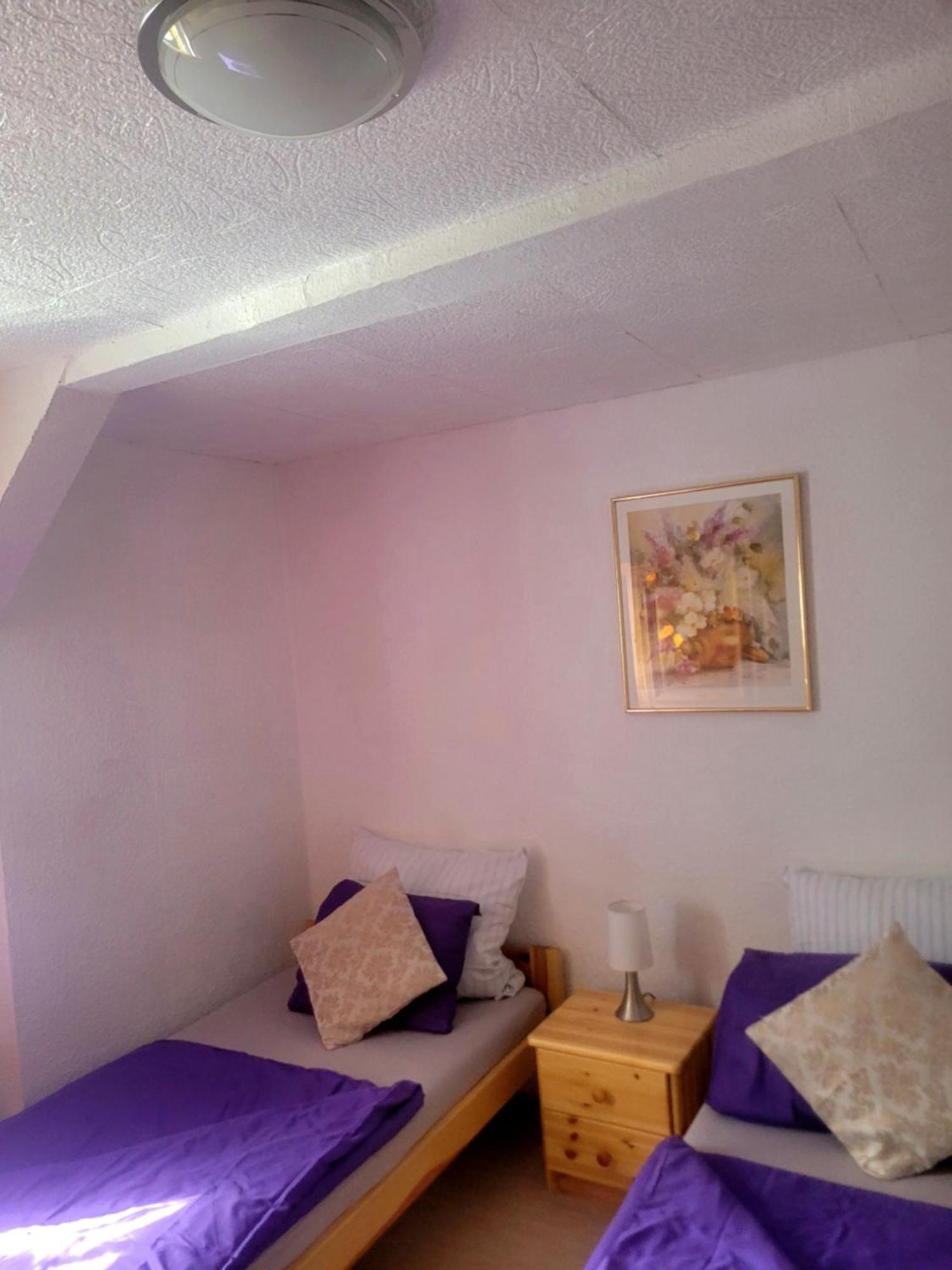 Sirisferienhaus Kurort Steinbach-Hallenberg Kültér fotó