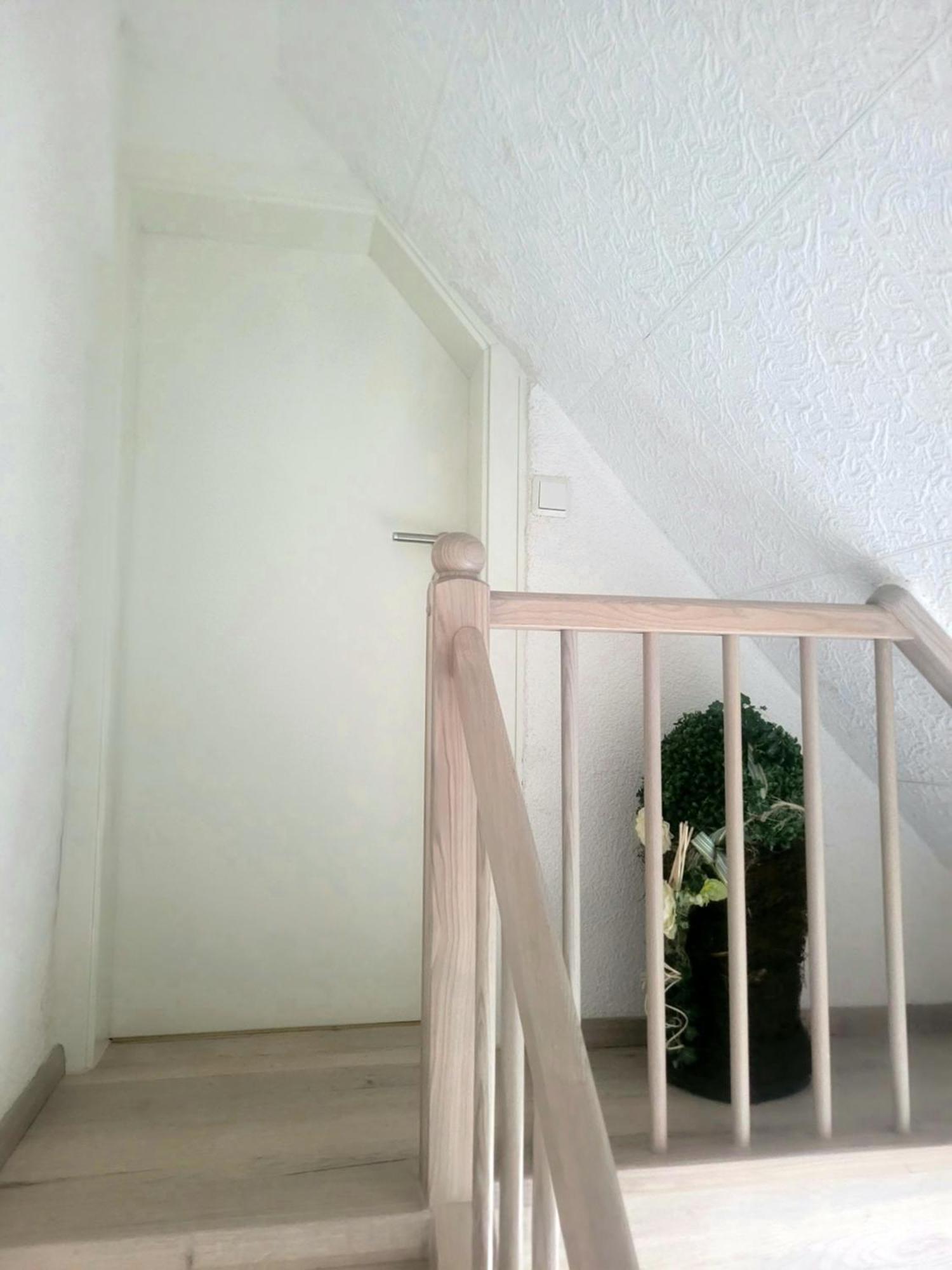 Sirisferienhaus Kurort Steinbach-Hallenberg Kültér fotó